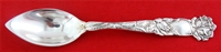 GRAPEFRUIT SPOON, 5 5/8"