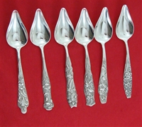 FLORA SET OF 6 CITRUS SPOONS, Mono