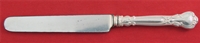  DINNER KNIFE (PL., BL.)	