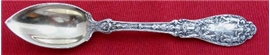 PARIS CITRUS SPOON