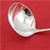 Audubon by Tiffany SAUCE LADLE