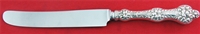 DINNER KNIFE, Stainless Blade, 9 1/2", Mono